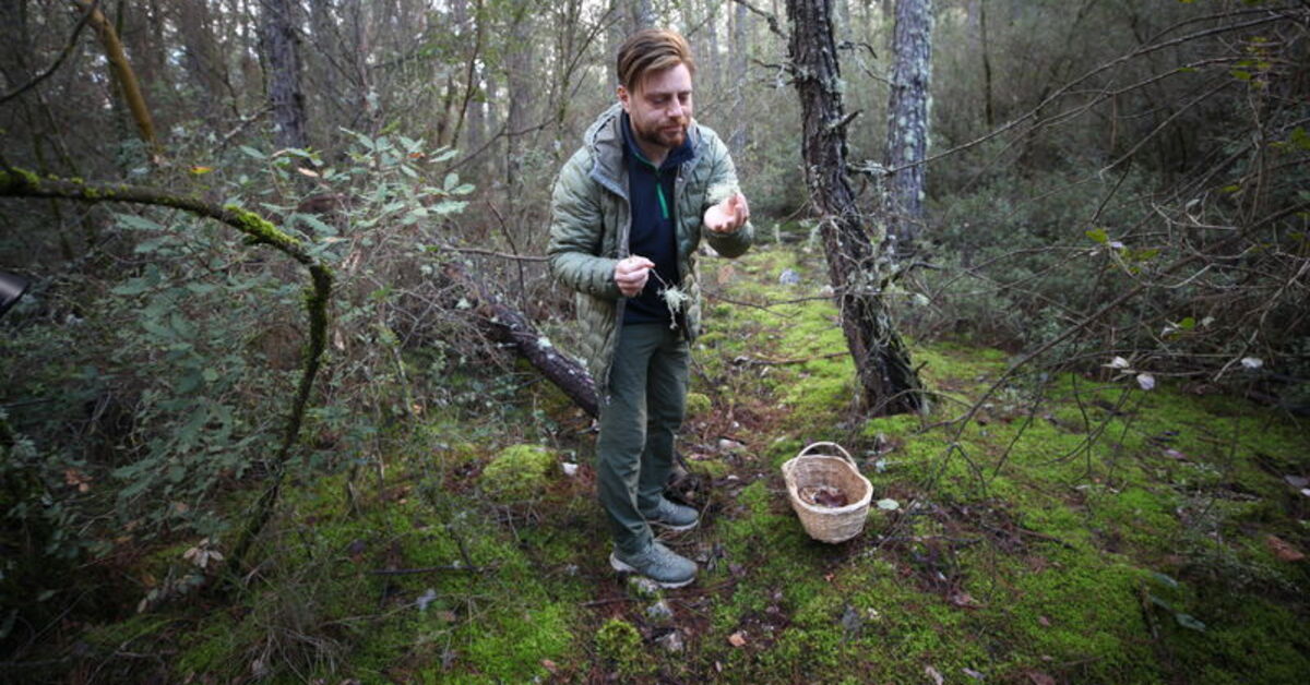 Uzmanından “kültür mantarı” ve pazarda satılan mantar uyarısı!